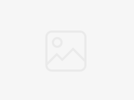 महत्त्वाच्या भारतीय शहरात 'डमी' विरोधी रॅलींनी वेग घेतला